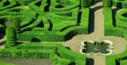 Siding Service House