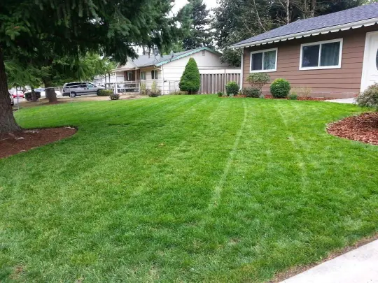 Flawless Remodeling Service