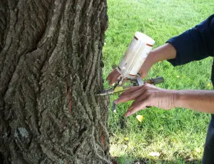 Siding Service House